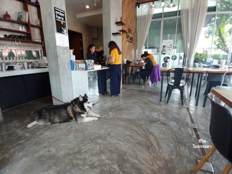  [치앙마이] 애견동반 호텔, 카페, 풀장 KETAWA PET FRIENDLY HOTEL & CAFE