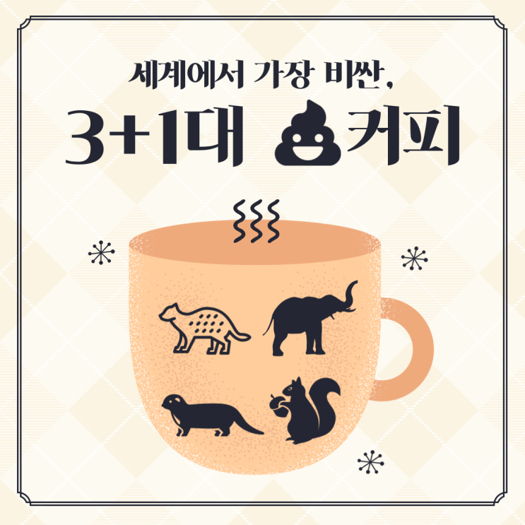 사향고양이 똥, 코끼리똥 커피, 베트남 족제비똥 커피(ft. 세계에서 가장 비싼 커피)