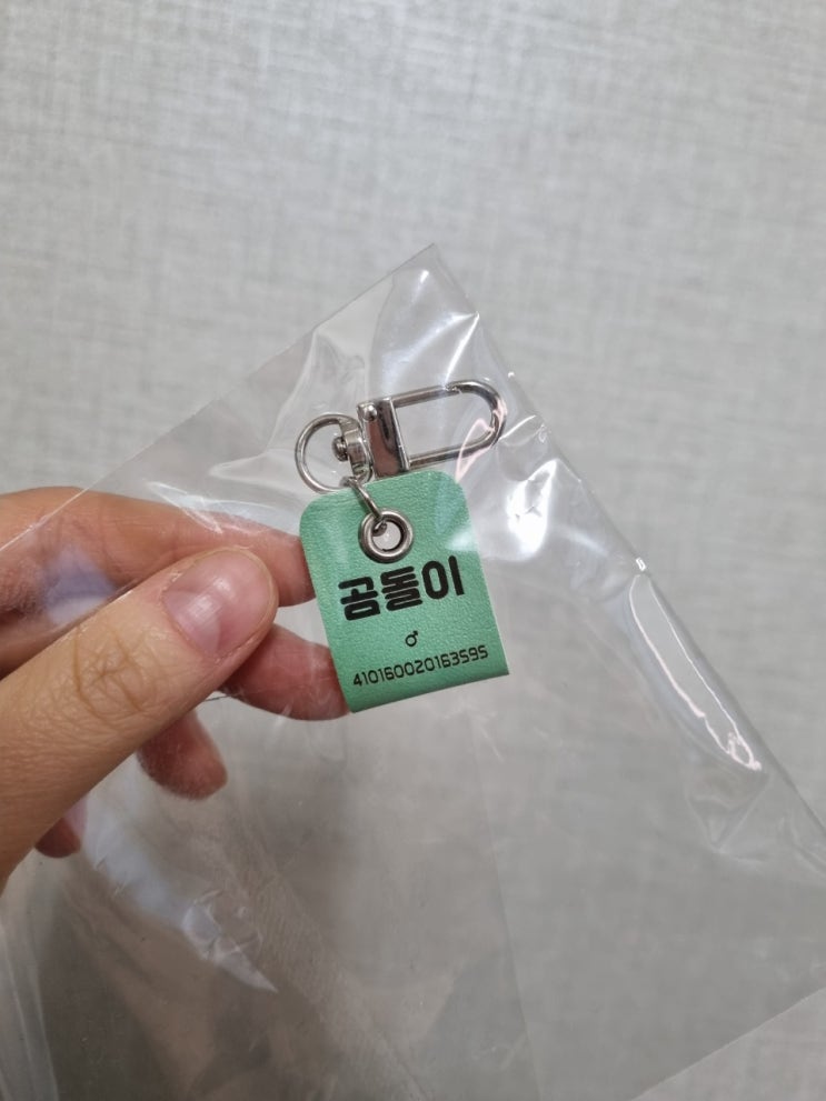 [내돈내산후기] 강아지 인식표추천