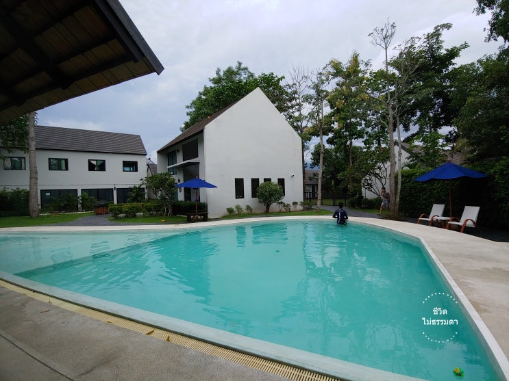  [치앙마이] 애견동반 호텔, 카페, 풀장 PAWTEL CHIANGMAI
