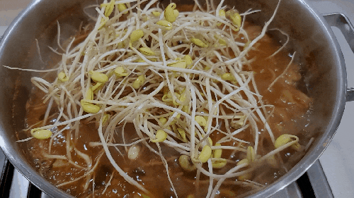 직접 키운 콩나물로 김치 콩나물국 끓이기 + 남은 잡채로 오코노미야키 만들기