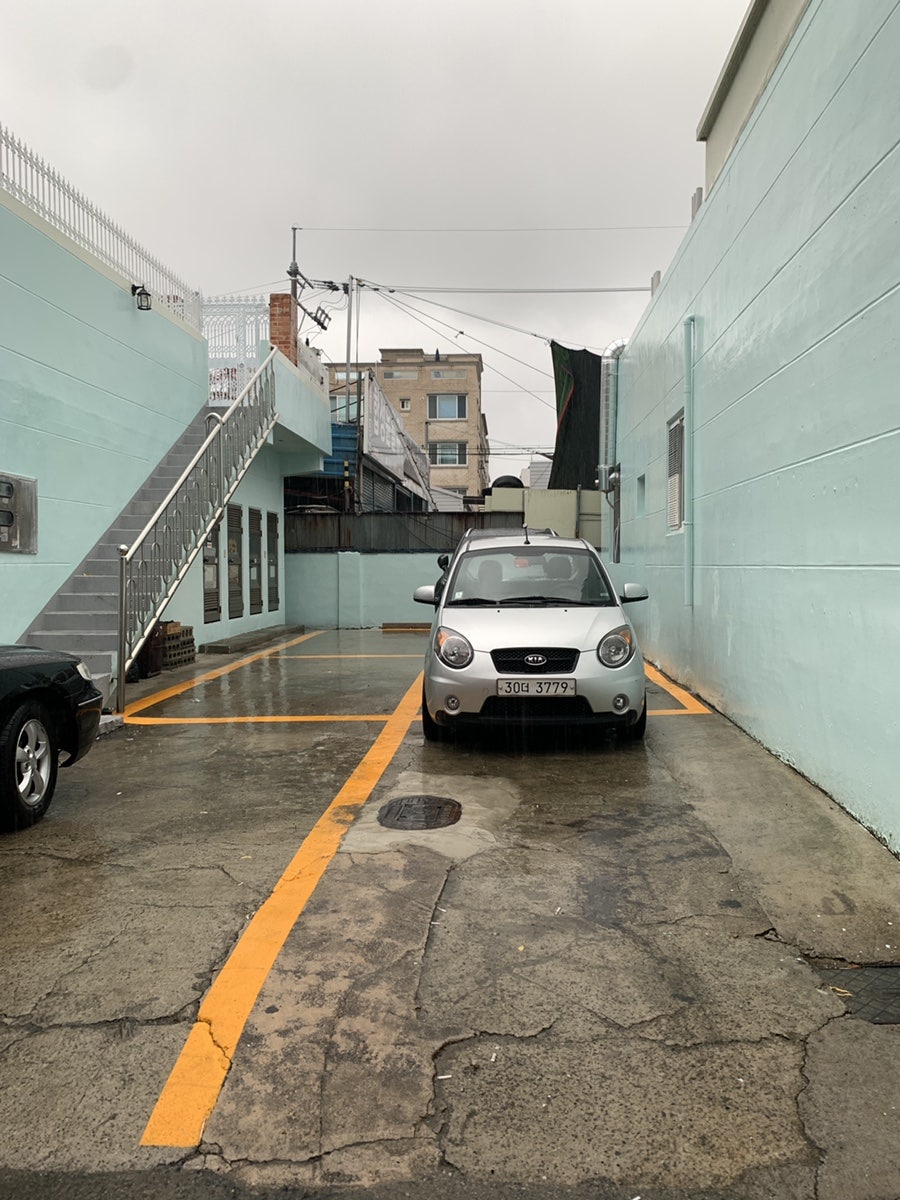 오늘도드르리 사진 4