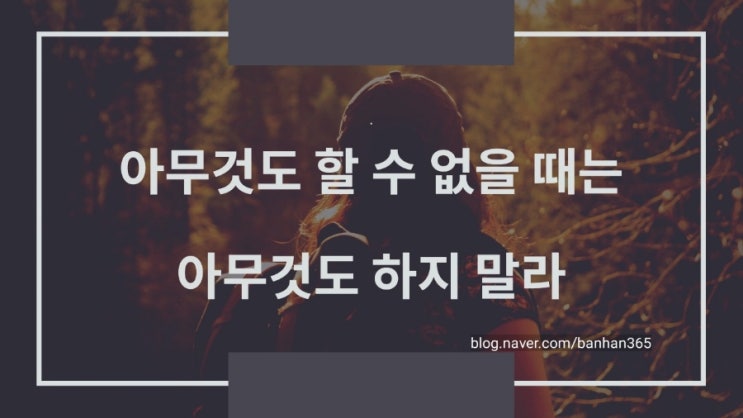  만일 누군가 그대를 개라고 부르면 화내지 말라! <술취한 코끼리 길들이기> - 아잔 브라흐마 / 류시화 역