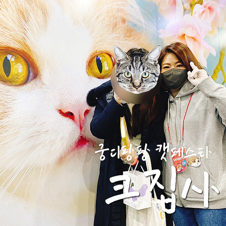  궁디팡팡 페스티벌 크집사 팬미팅(?) 성공, 사진까지 ㅠㅠ