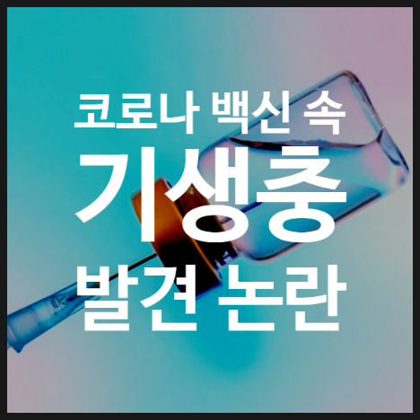  백신 기생충, 시장반응과 화이자 모더나 주가 현황
