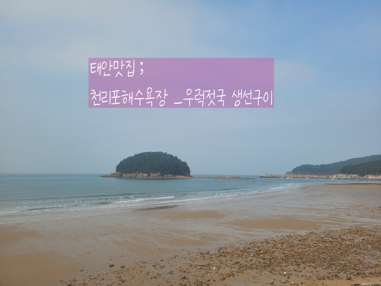 태안여행 천리포 맛집 어촌밥상 우럭젓국 생선구이 JMT