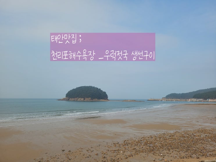  태안여행 천리포 맛집 어촌밥상 우럭젓국 생선구이 JMT