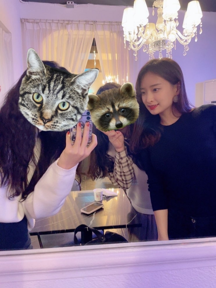  건대 술집/카페] 혜화시장/밀피 : 사태찜과 밀크티