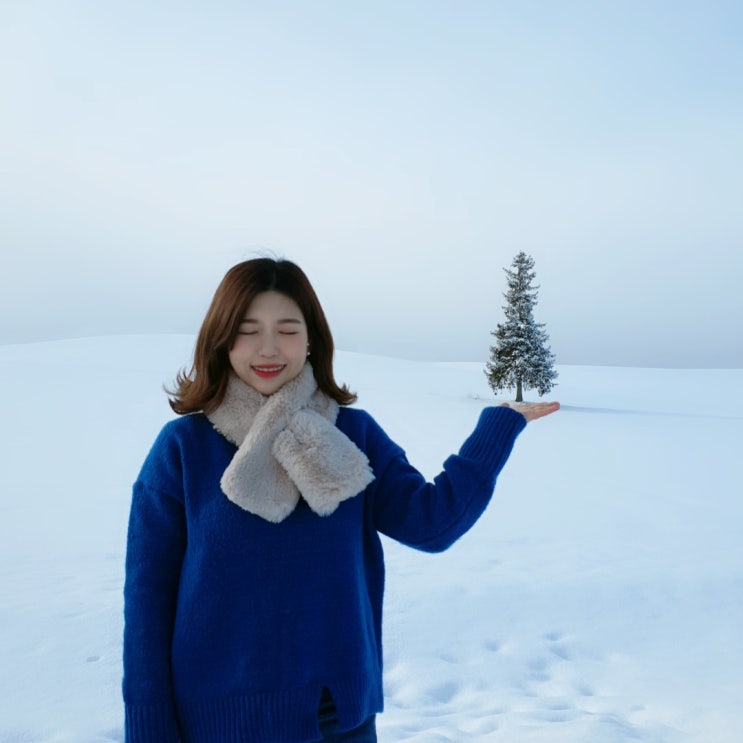  삿포로 4박5일, 이튿날은 비에이 투어를 갑니다