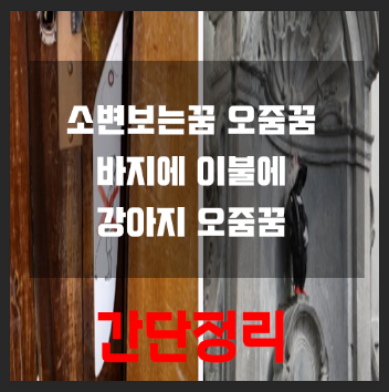 오줌싸는꿈 바지에 이불에 강아지 소변꿈 의미 간단 정리 소변보는꿈