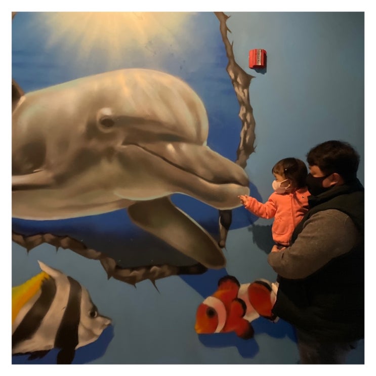 울산 아기랑 장생포 고래박물관 생태체험관 해피관광카드 할인 받는 법