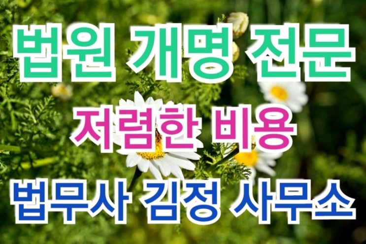  최근 통영지원 개명 허가사례