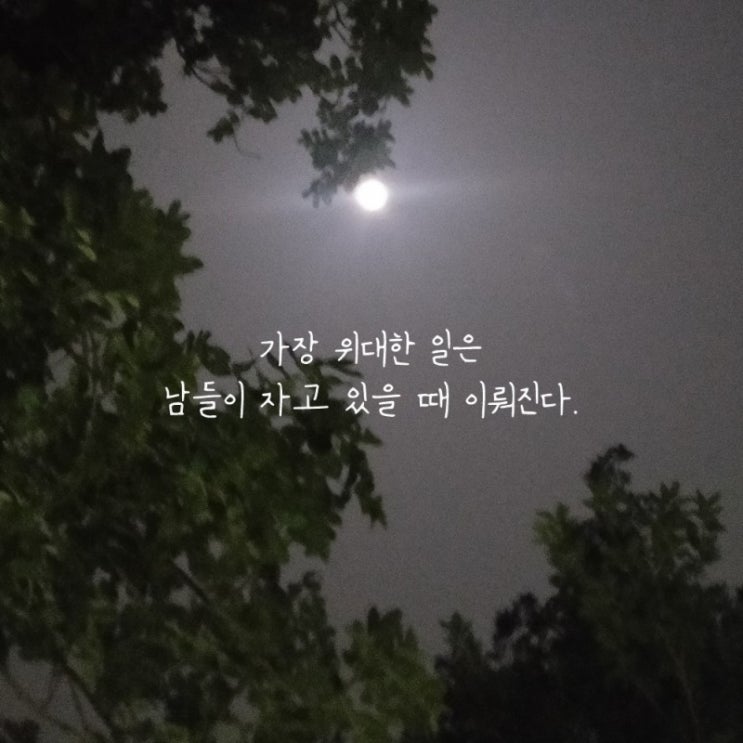  부거사이 [부동산 뉴스와 블로그] 12월 16일(목)