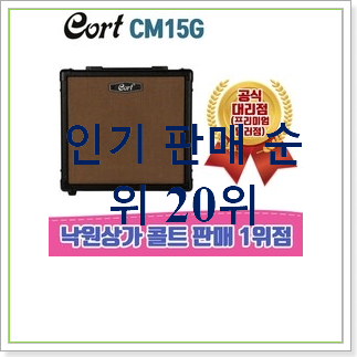  꼭 써봐야하는 기타앰프  탑30 순위 이건 사야돼!