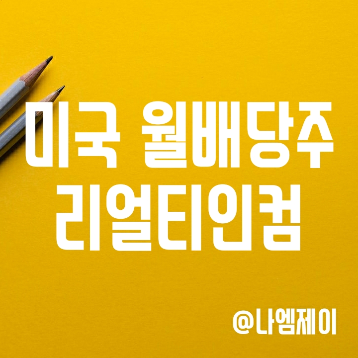 미국 월배당주 리얼티인컴 배당금 얼마나 될까? (배당일/배당률) 미국 월배당주 리얼티인컴 배당금 얼마나 될까? (배당일/배당률)