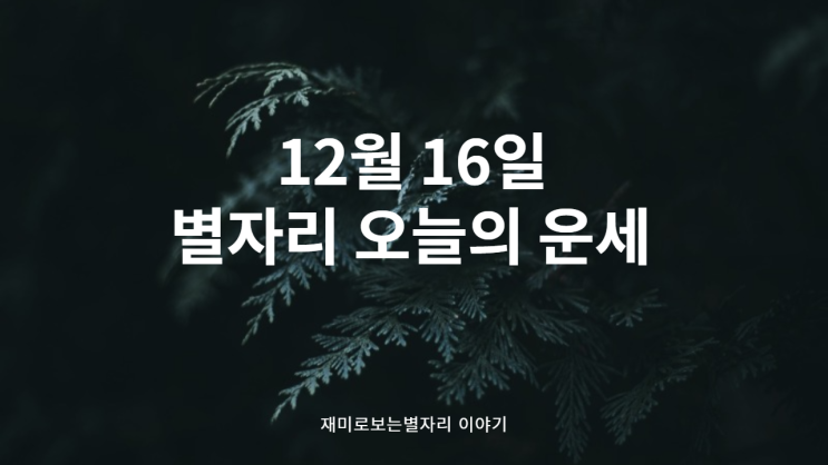  별자리 오늘의 운세 12월 16일