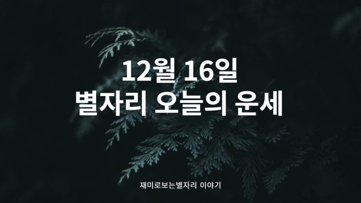 별자리 오늘의 운세 12월 16일