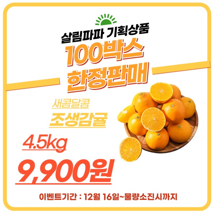  추가 진행) 조생노지감귤 특사 행사 진행 4.5kg 9.900원 100박스 한정 판매 실시