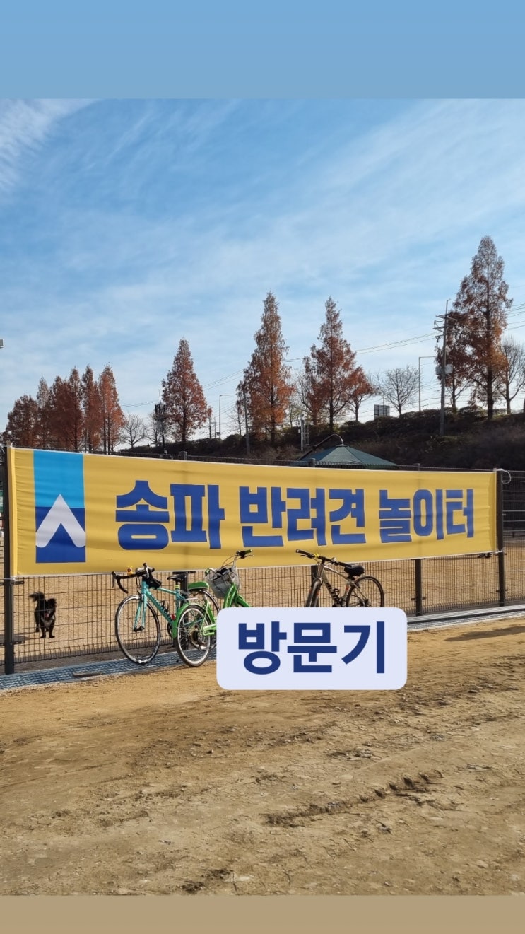  송파반려견 놀이터 정보 찾기 어려우시죠? 제가 알려드릴게요.