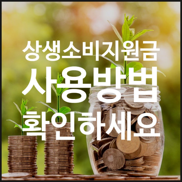  상생소비지원금 사용방법 및 사용처 확인하세요