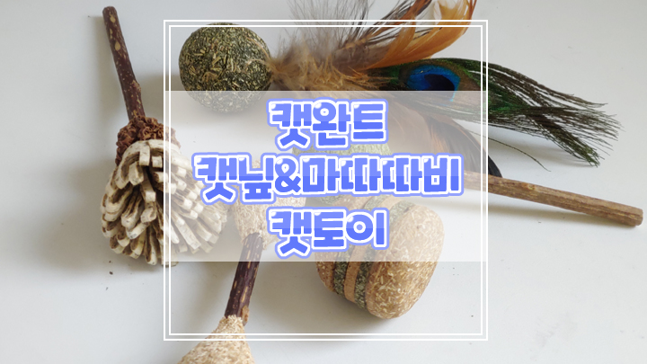  유기농 고양이 장난감 캣완트 캣닢 캣토이로 행복한 시간 만들어주세요