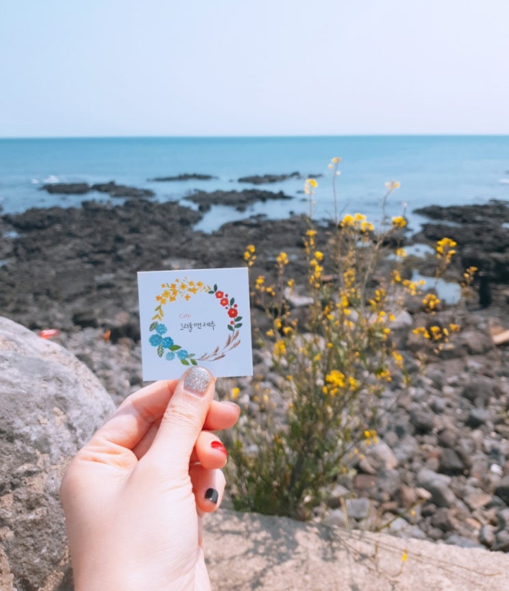  제주 서귀포, 남원읍) 멍때리기 좋은 카페, 오션뷰, 해안도로,  '그리울땐제주' / 표선해변 앞) '목스키친' 딱새우, 전복, 제주목살 필라프, 리조또 맛집
