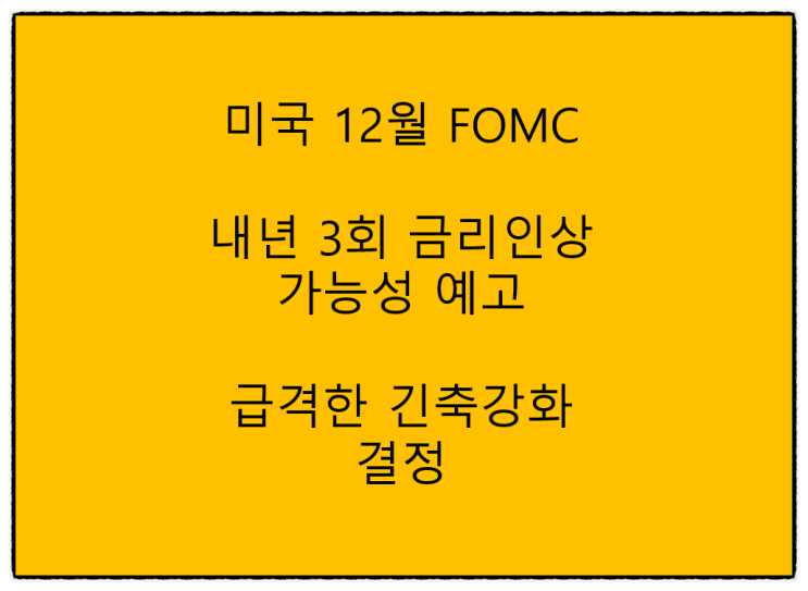  미국 12월 FOMC 내년 3회 금리인상 가능성 예고 급격한 긴축강화 결정