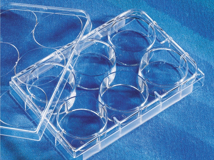 Costar Multiple Well Cell Culture Plates