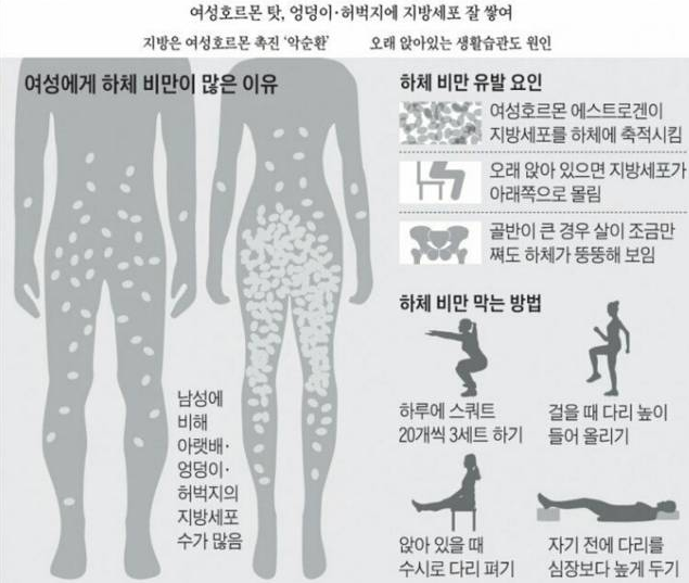 도봉구 방학동 여성전문 PT 핏걸에서 배우는 /여자들이 하체지방이 잘 찌는 이유 !?