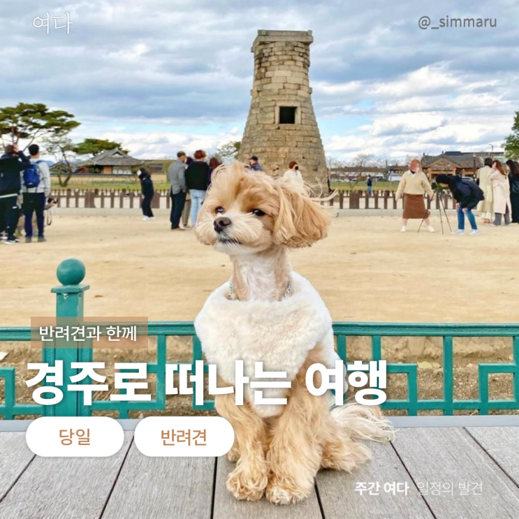  [경주여행] 반려견과 경주로 떠나는 여행