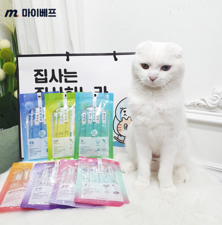  고양이 츄르 추천 별자리스틱 건강 맞춤 간식으로 딱이에요