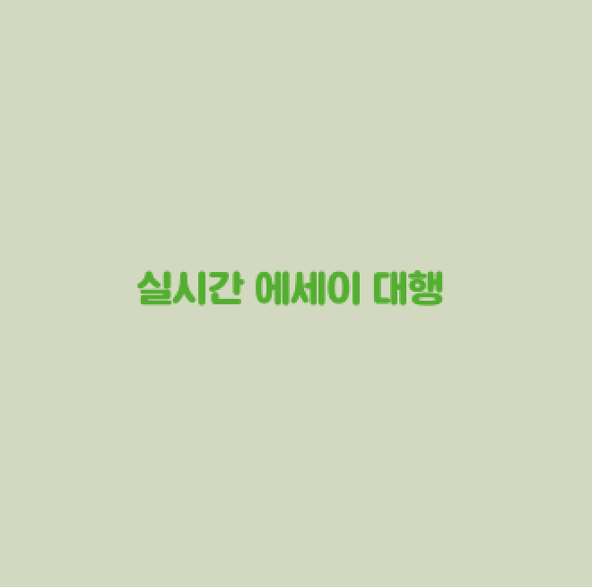  실시간 에세이 대행 (timed writing)