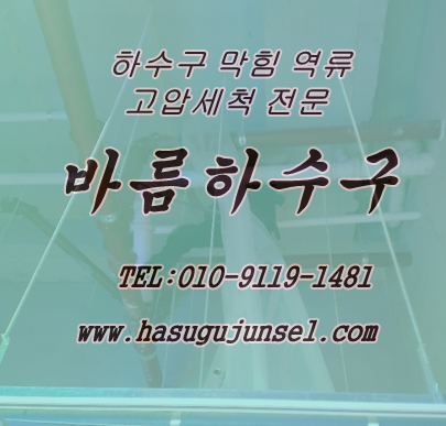  하수구 막힘, 하수도 막힘 및 역류