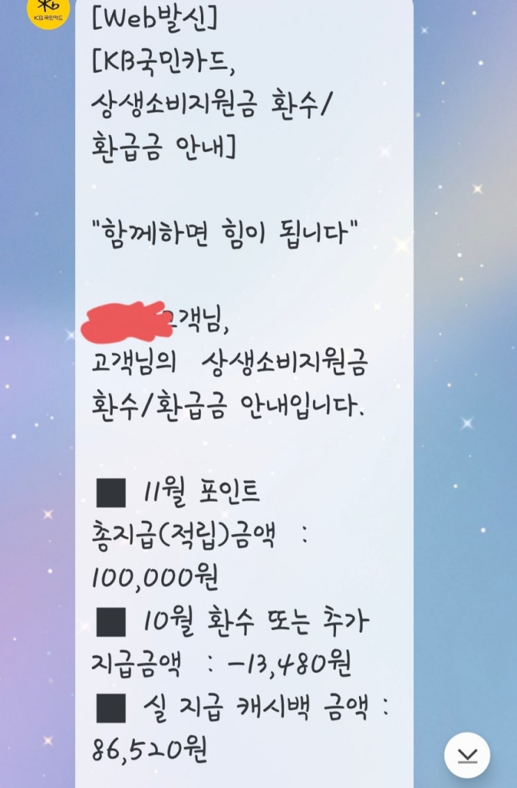 [용용의 지출 줄이기 PROJECT 3] 세상에 머선129 12월 상생소비지원금