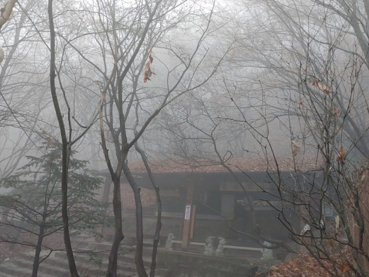 오늘 아침 안개와 어우러진 설봉산(구암약수터) 오늘 아침 안개와 어우러진 설봉산(구암약수터)