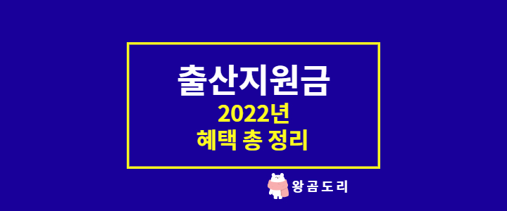  2022년 달라진 출산지원금 양육수당 임신바우처 혜택 정리