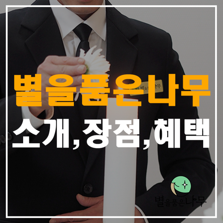  고품격 후불제상조 별을품은나무 회사소개 장점 혜택 대공개!