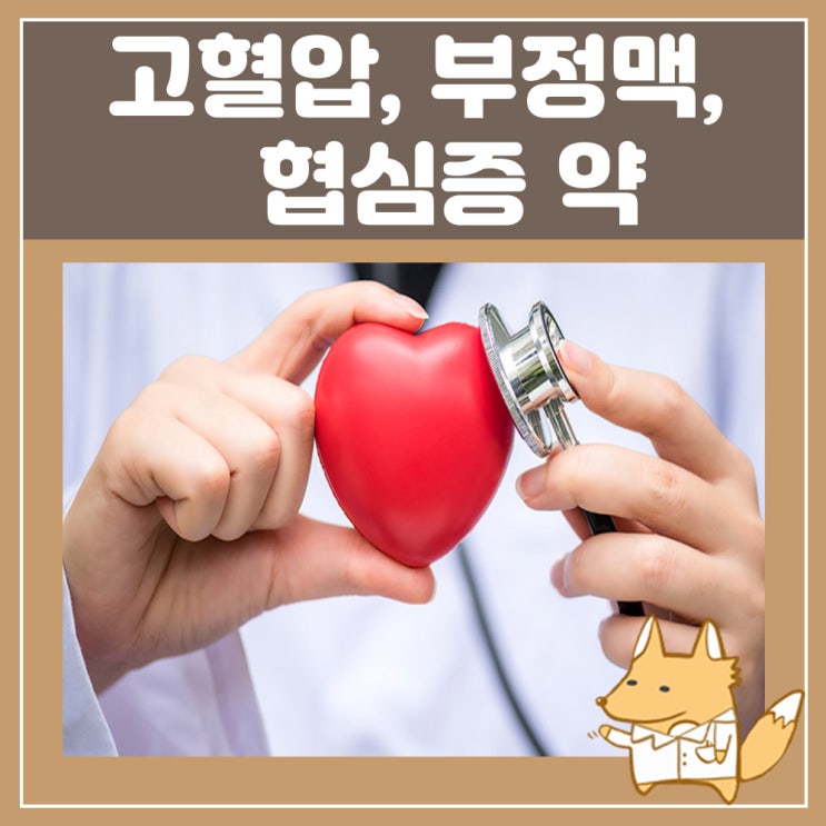  고혈압 약 인데놀(인데놀정) 부정맥 협심증 약 : 효능과 올바른 복용법 꼭 알고 먹어요!