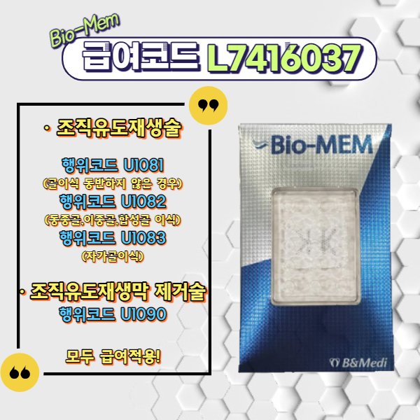  [비앤메디] 치과용 비흡수성 멤브레인 Bio-Mem(보험적용가능)