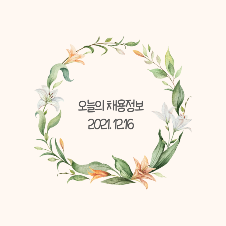 오늘의 채용정보/ 12.16 기준