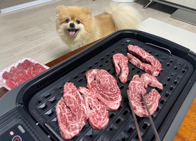 연기먹는 안방그릴로 집안에서 고기파티 연기먹는 안방그릴로 집안에서 고기파티