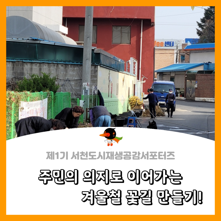  [서천군도시재생공감서포터즈단] 주민의 의지로 이어가는 겨울철 꽃길 만들기!