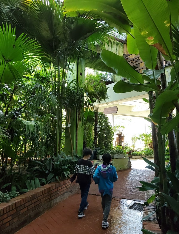 서울어린이대공원 식물원 후기, 대공원에서 가장 만족스러웠던 공간
