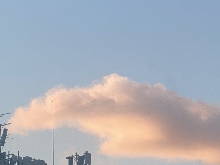  버킷리스트 2021년 돌아보기