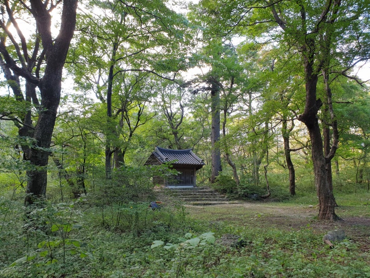  강원도 원주 성황림 마을 탐방, 취인절미 만들기