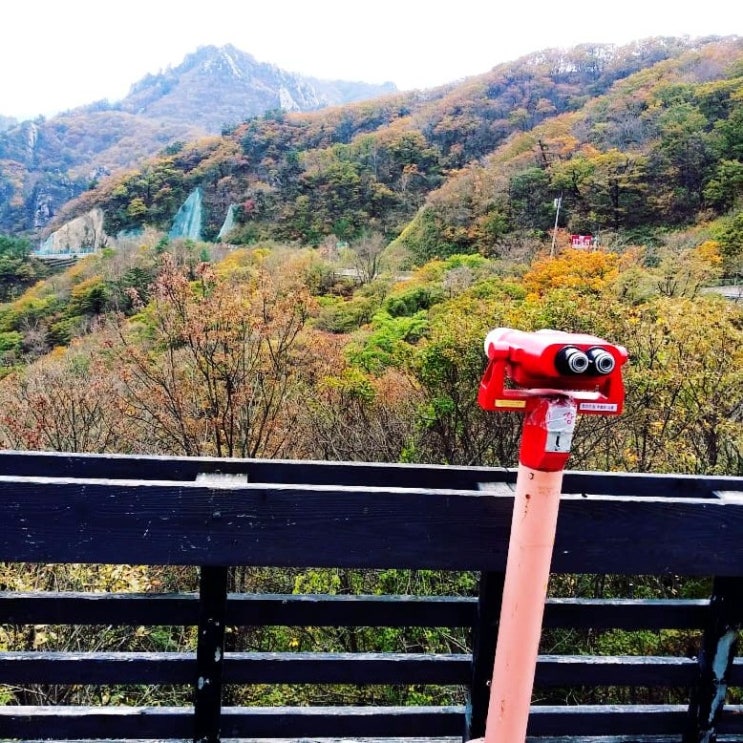  설악산 가을단풍 드라이브여행 한계령 휴게소 방문후기 양양3경오색령후기