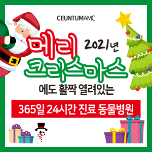  [진료일정] 2021년 크리스마스 정상진료 안내 (부산 일요일 공휴일 성탄절에도 여는 동물병원)