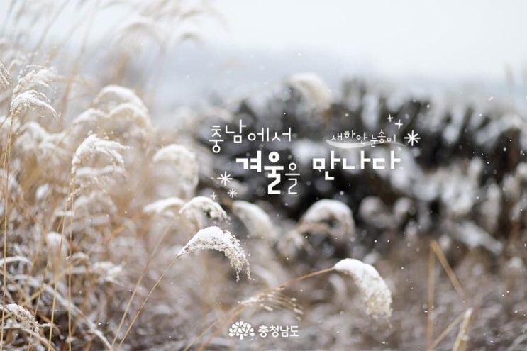 충남 가볼만한곳 충남에서 겨울을 만나다 | 충남도청페이스북
