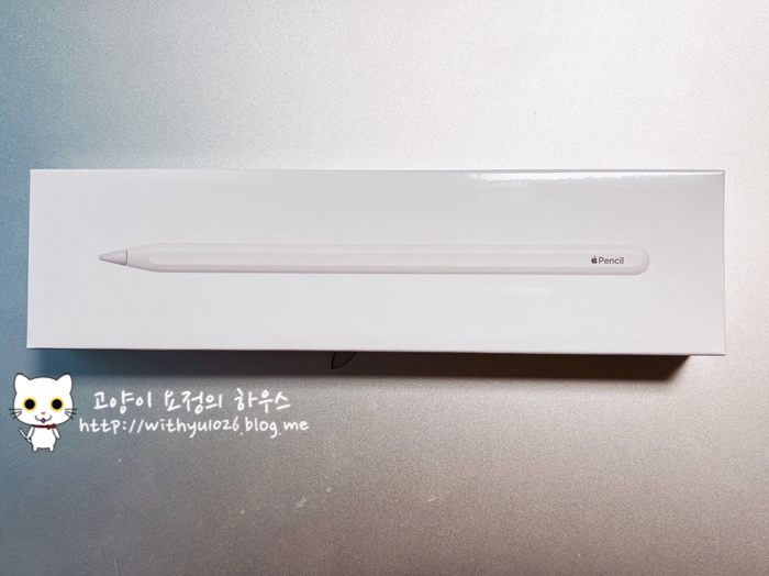  [애플] 애플펜슬2 간단개봉기 및 사용후기