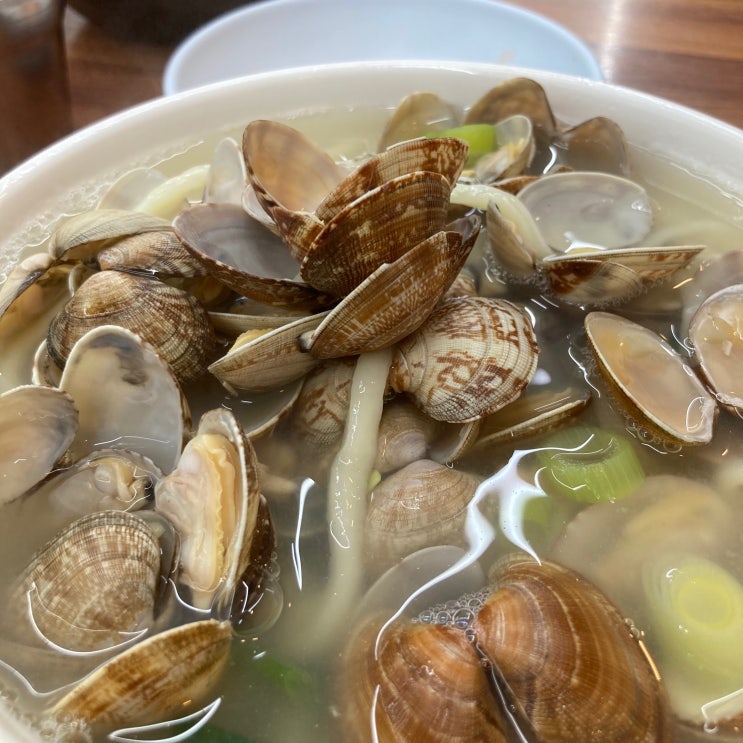  WK 50 일상 - 설렁설렁 사는 일주일